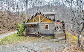 Tree Top Cabin